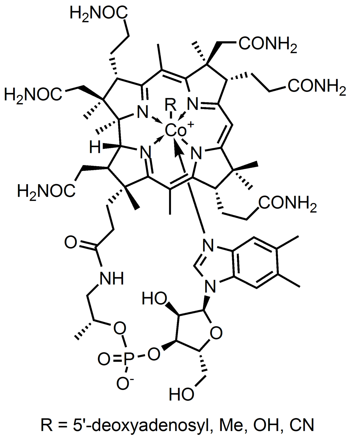 Representation of a R-cobalamin molecule Representation of a R-cobalamin molecule